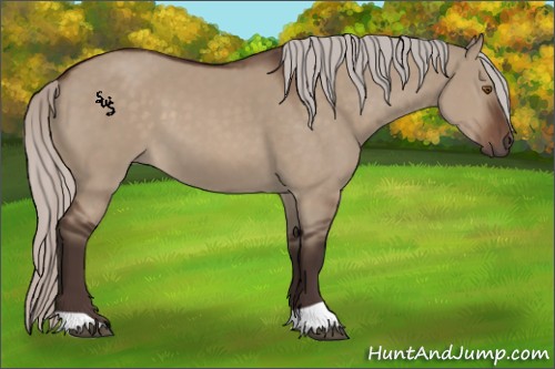 Horse Color:Silver Brown Dun 