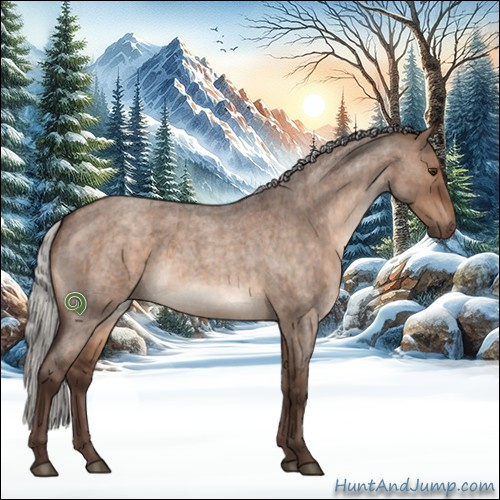 Horse Color:Silver Brown Roan Dun Sabino Brindle