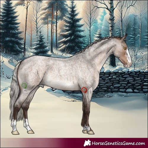 Horse Color:Silver Brown Roan Dun Sabino Brindle 