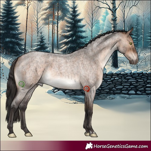 Horse Color:Bay Roan Dun Brindle 