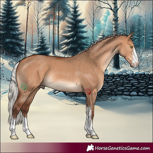 Horse Color:Silver Bay Dun Sabino 