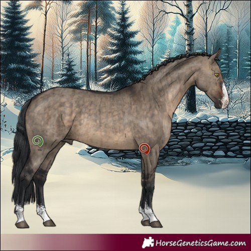 Horse Color:Brown Dun Sabino Brindle 