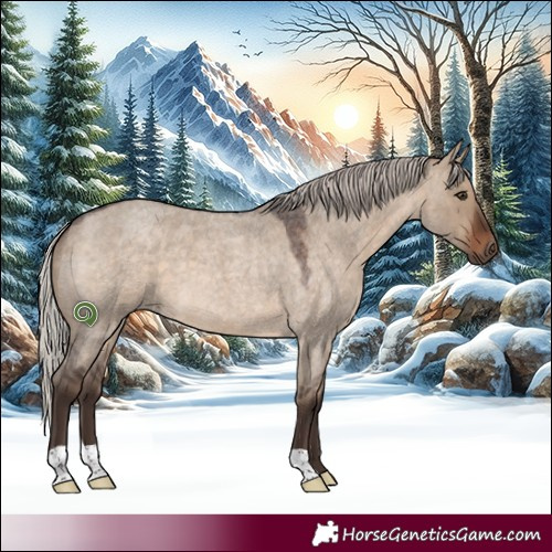 Horse Color:Silver Brown Roan Dun 