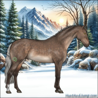 Horse Color:Silver Brown Dun Sabino Rabicano 