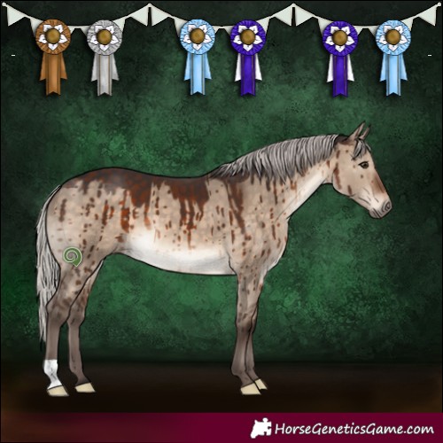 Horse Color:Silver Brown Dun Brindle 
