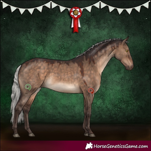 Horse Color:Silver Brown Dun 
