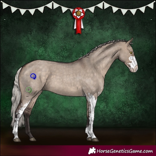 Horse Color:Silver Brown Roan Dun Sabino 