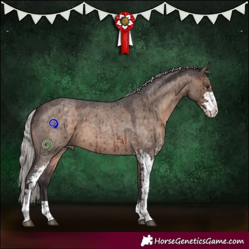 Horse Color:Silver Brown Roan Dun Sabino Brindle 