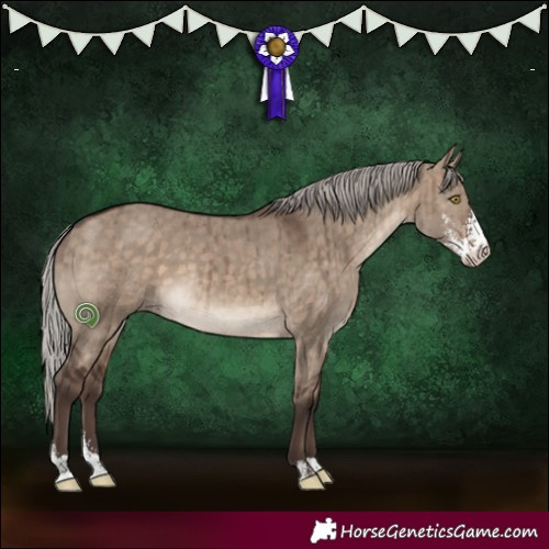 Horse Color:Silver Brown Dun Sabino Brindle 