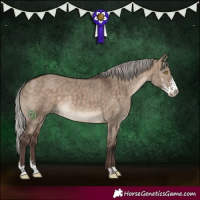 Horse Color:Silver Brown Dun Sabino Brindle 