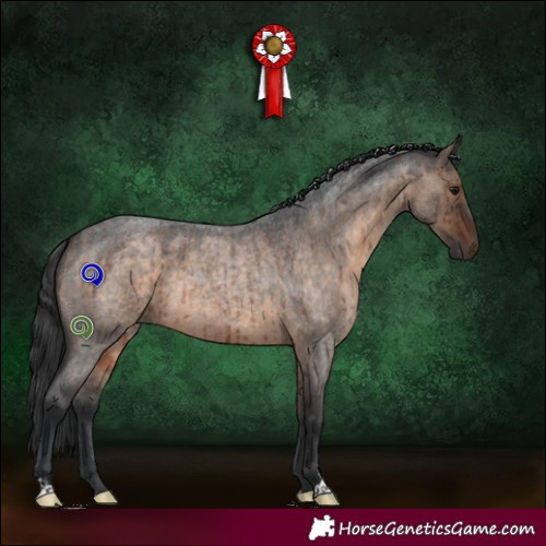 Horse Color:Brown Roan Dun Sabino Brindle 