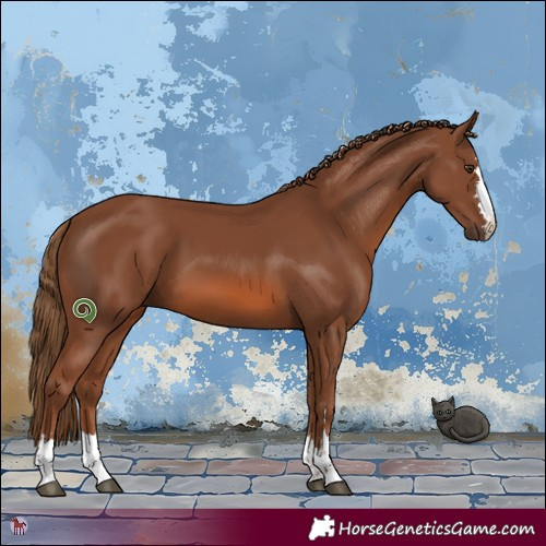 Horse Color:Chestnut 