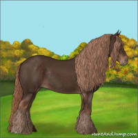Horse Color:Liver Chestnut Rabicano