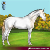 Horse Color:Buckskin Pearl Dun Tobiano Frame 