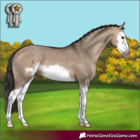 Horse Color:Bay Dun Splash Frame 