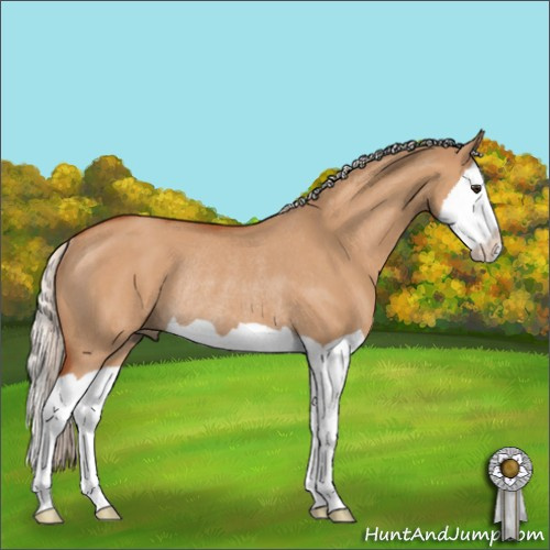 Horse Color:Silver Bay Dun Splash Rabicano