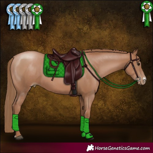 Horse Color:Black Pearl Sabino 