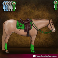 Horse Color:Black Pearl Sabino 