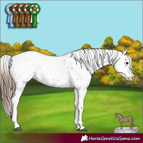 Horse Color:Black Pearl Sabino