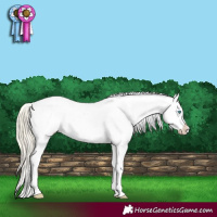Horse Color:White Spotted Chocolate Palomino Pearl Dun Sabino Snowflake Varnish
