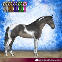 Horse Color:Black Tobiano 
