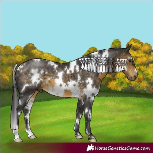 Horse Color:White Spotted Buckskin