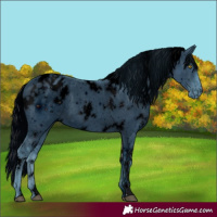 Horse Color:ERROR: UNKNOWN ANOMALY