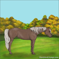 Horse Color:Silver Black 