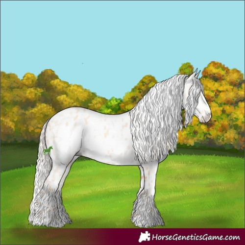 Horse Color:Cremello Leopard and Gray Cremello Leopard