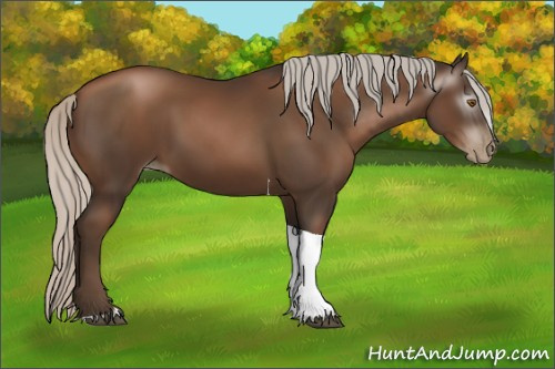 Horse Color:Gray Silver Black Pearl Tobiano 