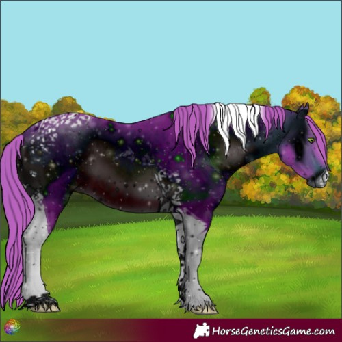 Horse Color:ERROR: UNKNOWN ANOMALY