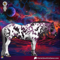 Horse Color:ERROR: UNKNOWN ANOMALY