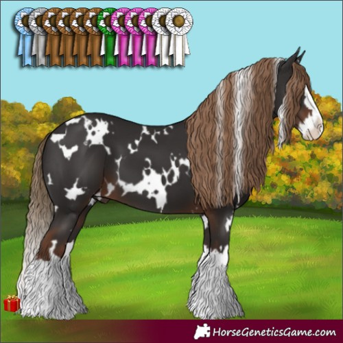 Horse Color:White Spotted Liver Chestnut Splash 