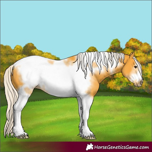 Horse Color:Silver Buckskin Sabino Tobiano Frame 