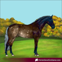 Horse Color:ERROR: UNKNOWN ANOMALY