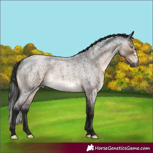 Horse Color:Gray Brown Roan Dun Mushroom Sabino Rabicano Brindle 