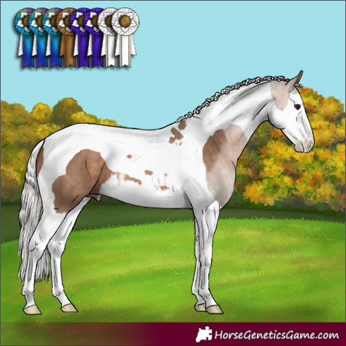 Horse Color:White Spotted Silver Brown Dun Splash Tobiano 