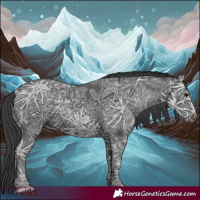 Horse Color:Black Ice 
