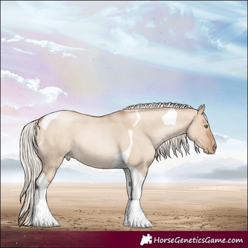 Horse Color:Silver Grullo Roan Pearl Tobiano 
