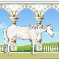 Horse Color:Silver Smoky Creme Dun Sabino 