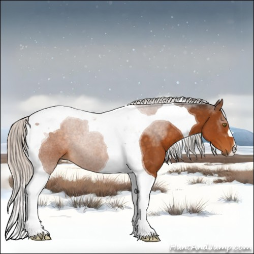 Horse Color:Silver Buckskin Tobiano 
