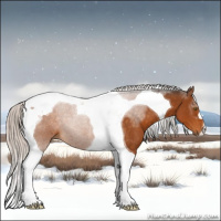 Horse Color:Silver Buckskin Tobiano 