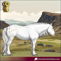 Horse Color:Silver Buckskin Pearl Sabino Appaloosa