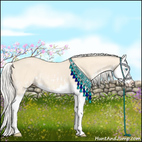 Horse Color:Cremello Splash  and Cremello Splash 