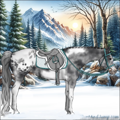 Horse Color:White Spotted Black Splash Tobiano Frame Appaloosa 