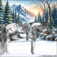 Horse Color:White Spotted Black Splash Tobiano Frame Appaloosa 