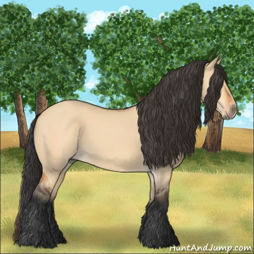 Horse Color:Unknown 