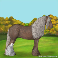 Horse Color:Silver Black 