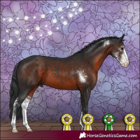 Horse Color:Brown Sabino