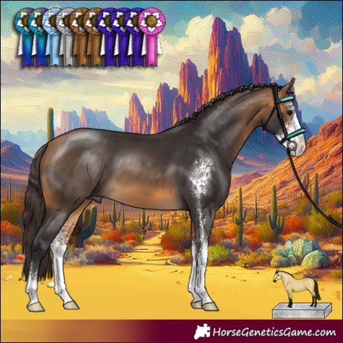 Horse Color:Buckskin Sabino
